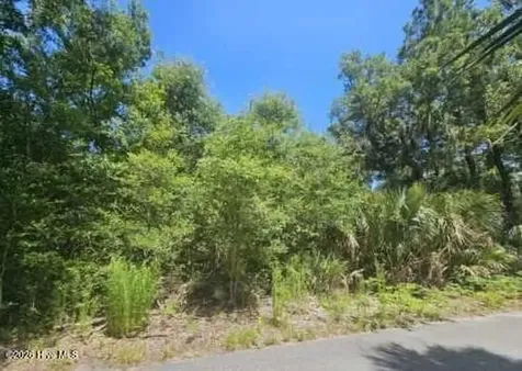 6 Red Bay Court Bald Head Island NC 28461