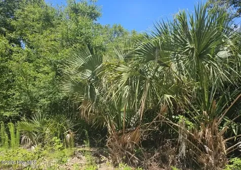 6 Red Bay Court Bald Head Island NC 28461