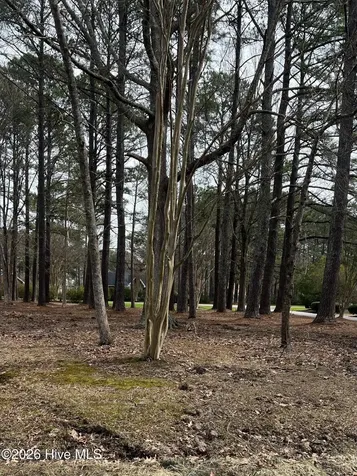 Lot 16 Trent Circle Hertford NC 27944