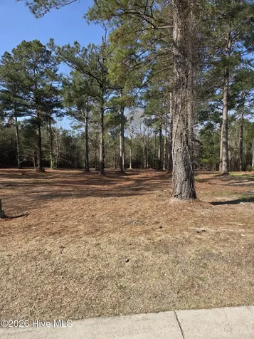 7423 Branford Circle SW Sunset Beach NC 28468