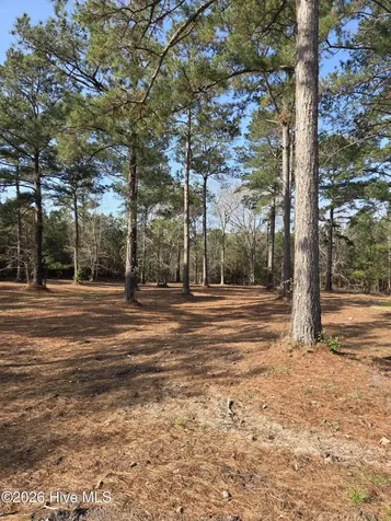 7423 Branford Circle SW Sunset Beach NC 28468