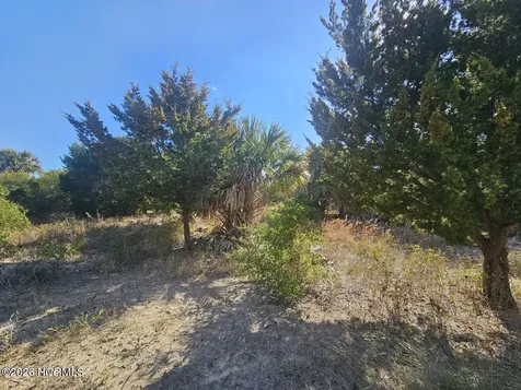 22 Black Skimmer Trail Bald Head Island NC 28461