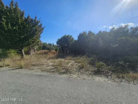 22 Black Skimmer Trail Bald Head Island NC 28461