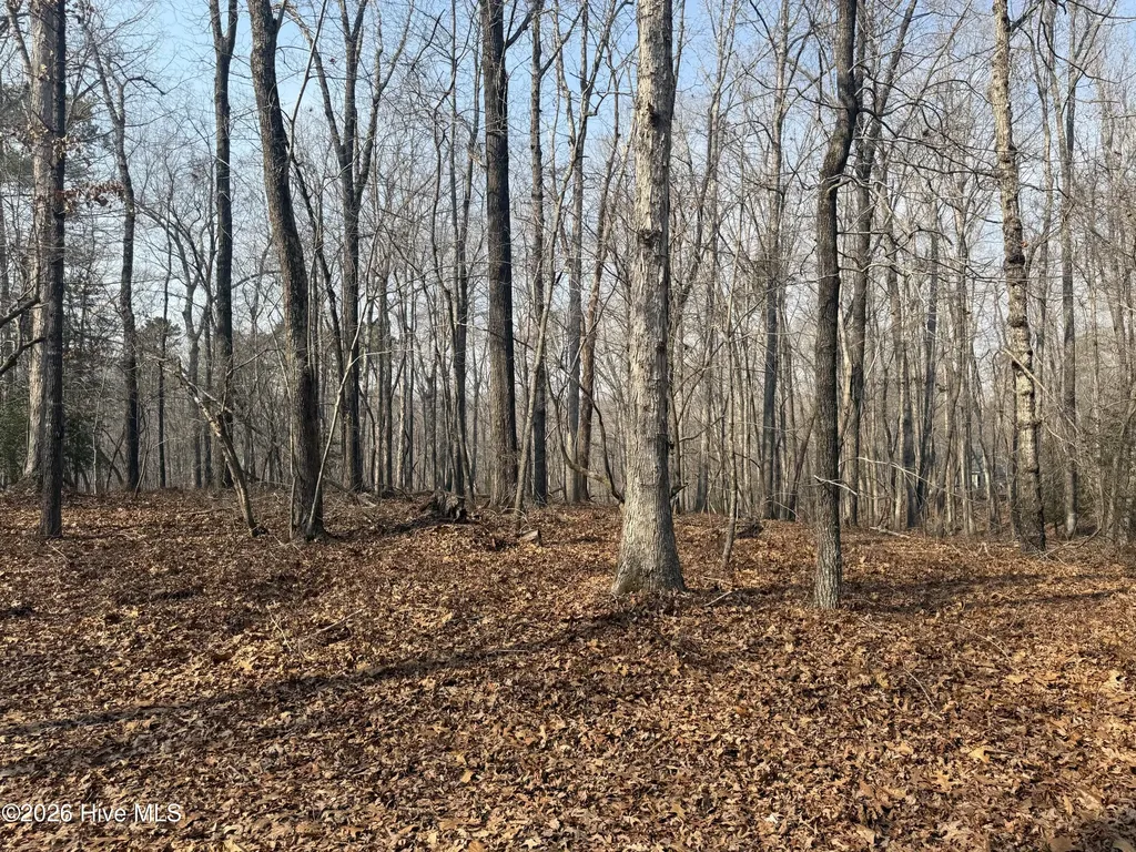 15B Winners Circle Lane Carthage NC 28327