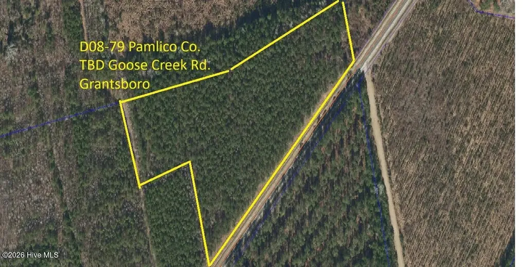 D08-79 Goose Creek Road Bayboro NC 28515