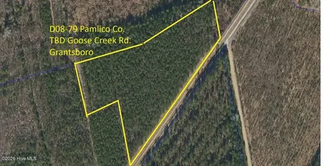 D08-79 Goose Creek Road Bayboro NC 28515