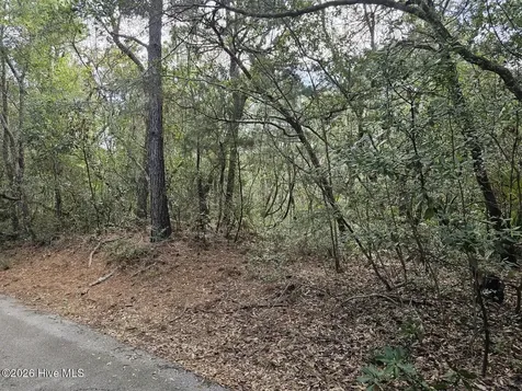 5 Musket Court Bald Head Island NC 28461