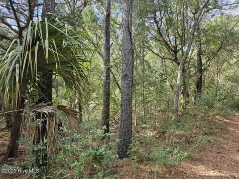 5 Musket Court Bald Head Island NC 28461