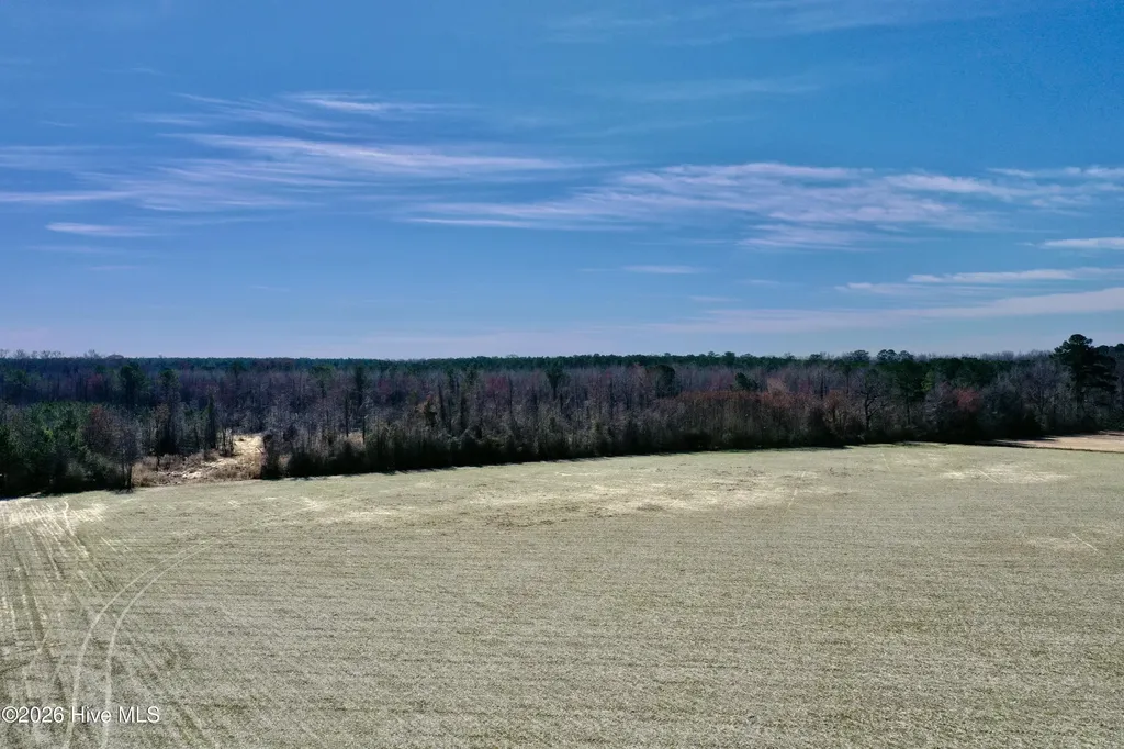 0 Near 2034 Haynes Len Highway Cerro Gordo NC 28430