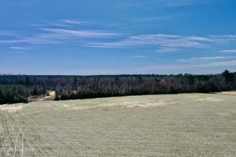 0 Near 2034 Haynes Len Highway Cerro Gordo NC 28430