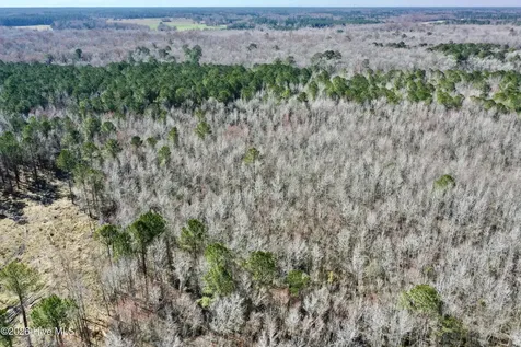 0 Near 2034 Haynes Len Highway Cerro Gordo NC 28430