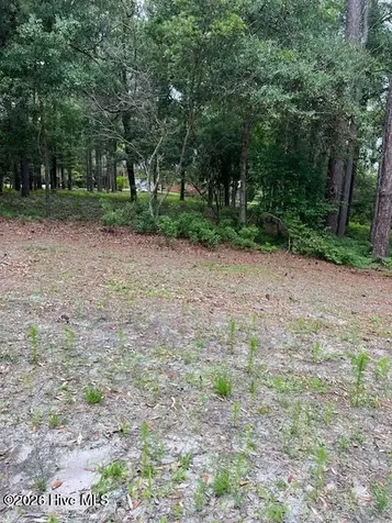 2933 Island Drive SE Bolivia NC 28422