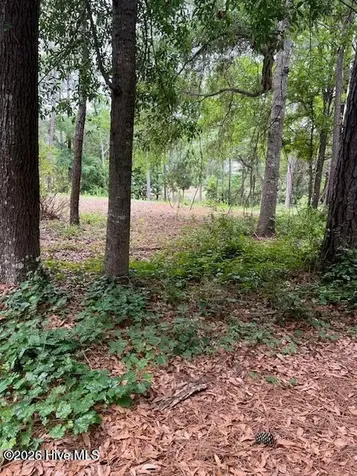 2933 Island Drive SE Bolivia NC 28422