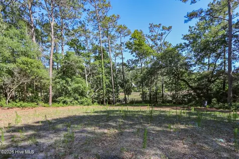 2933 Island Drive SE Bolivia NC 28422