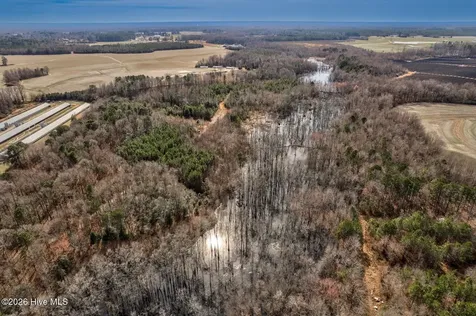 00 Ethridge Road Whitakers NC 27891