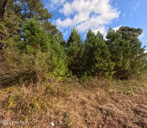 353 Piney Green Road Jacksonville NC 28546