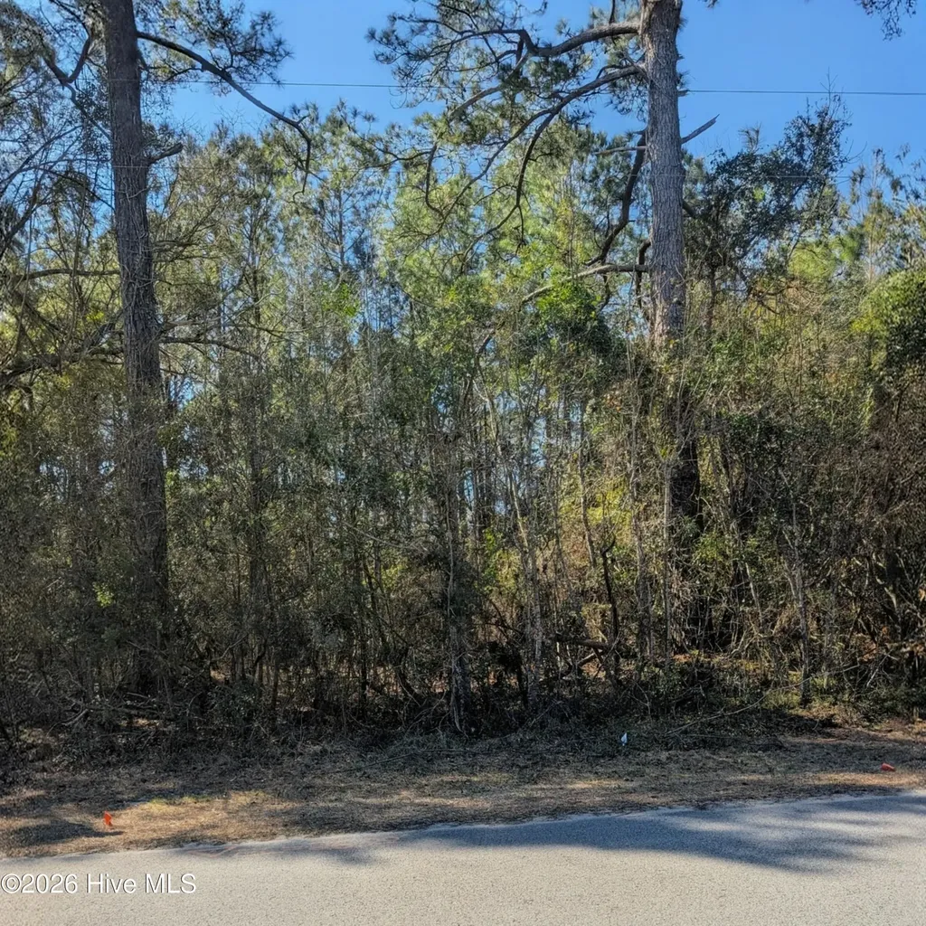 437 Colony Lane SE Leland NC 28451