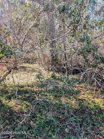 437 Colony Lane SE Leland NC 28451
