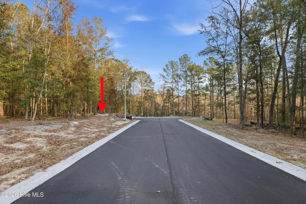 1041 Brooke Ridge Lane Southport NC 28461