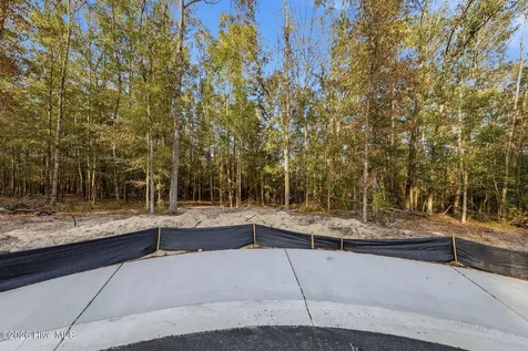 1041 Brooke Ridge Lane Southport NC 28461
