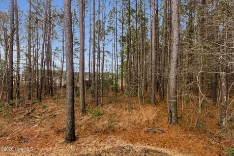 134 Williamsburg Parkway Jacksonville NC 28546