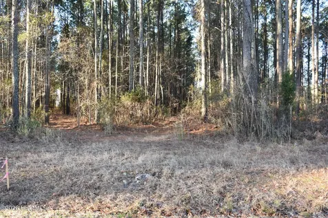 97 Mcgowan Road Bath NC 27808