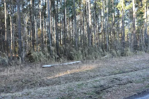 97 Mcgowan Road Bath NC 27808