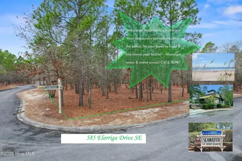 585 Elorriga Drive SE Bolivia NC 28422