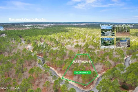 585 Elorriga Drive SE Bolivia NC 28422