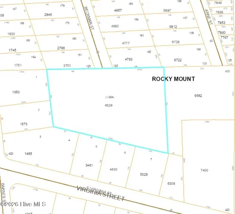 1198 Beckman Street Rocky Mount NC 27801