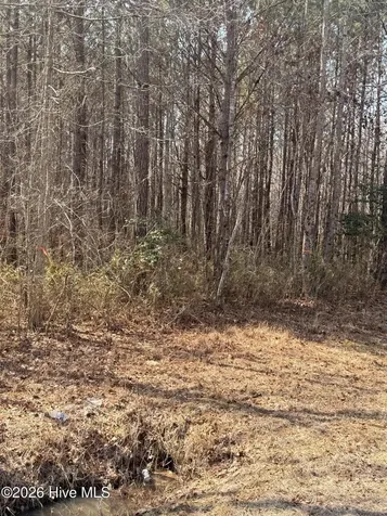 2 Tuggie Eure Road Eure NC 27935