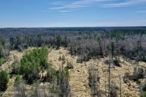 0 Near 2034 Haynes Len Cerro Gordo NC 28430