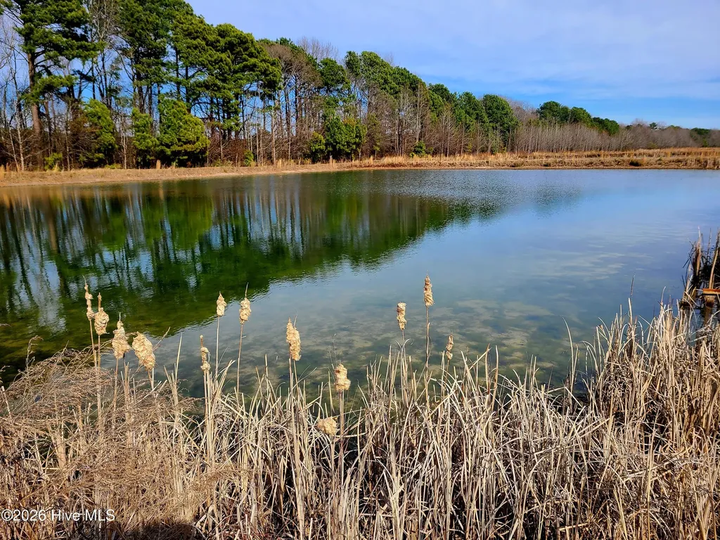 2424 Thompson Avenue Turkey NC 28393