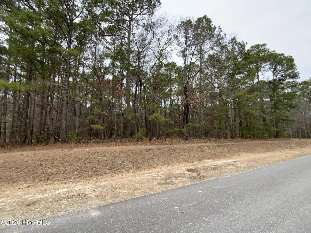 101 Long Leaf Lane Goldsboro NC 27534
