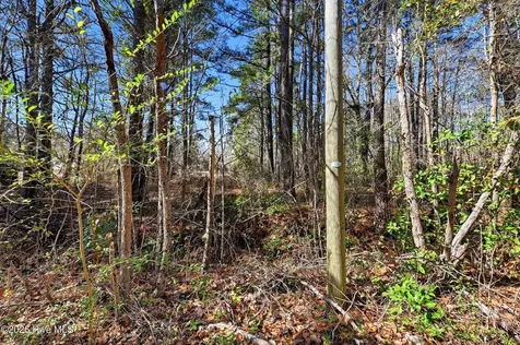 15460 Nc-210 Rocky Point NC 28457
