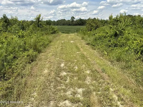0 Near 685 Rossie Ober Road Whiteville NC 28472