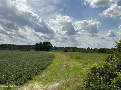 0 Near 685 Rossie Ober Road Whiteville NC 28472