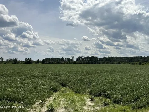 0 Near 685 Rossie Ober Road Whiteville NC 28472