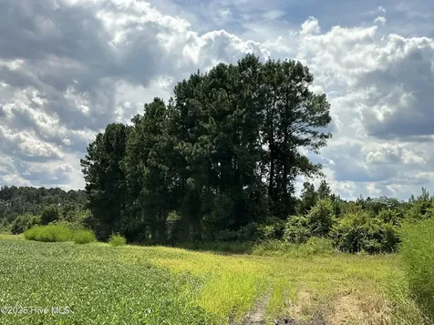 0 Near 685 Rossie Ober Road Whiteville NC 28472