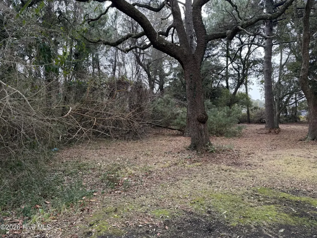 116 Willow Street Beaufort NC 28516