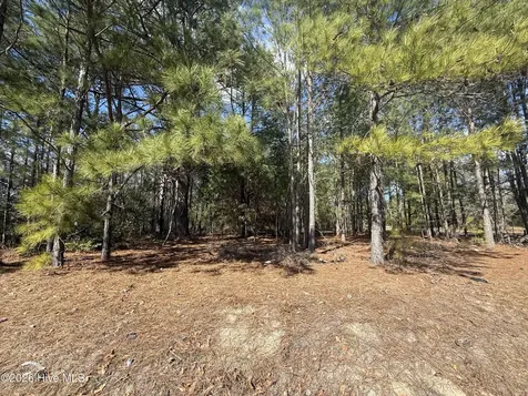 Tbd Mizpah Road Rockingham NC 28379