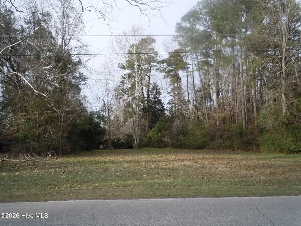 Tbd Near 117 Floyd Street Tabor City NC 28463