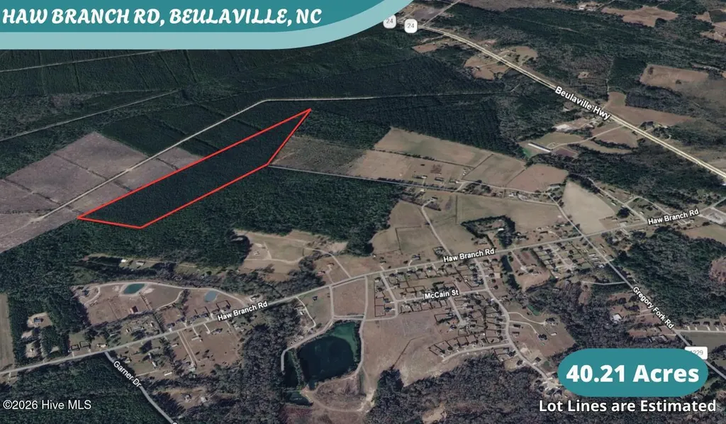 40 Acres Haw Branch Road Beulaville NC 28518