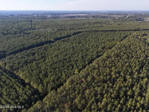40 Acres Haw Branch Road Beulaville NC 28518