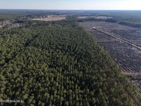 40 Acres Haw Branch Road Beulaville NC 28518