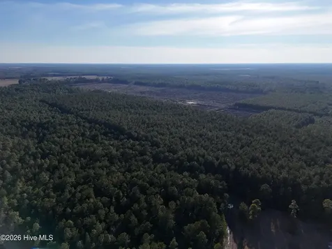 40 Acres Haw Branch Road Beulaville NC 28518