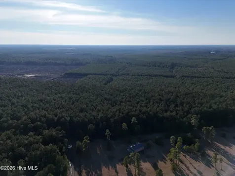 40 Acres Haw Branch Road Beulaville NC 28518