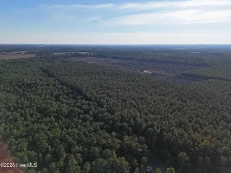 40 Acres Haw Branch Road Beulaville NC 28518