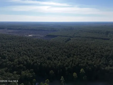 40 Acres Haw Branch Road Beulaville NC 28518