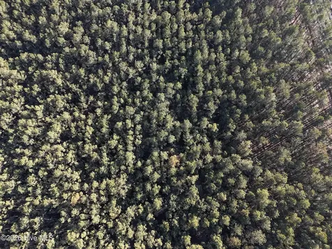40 Acres Haw Branch Road Beulaville NC 28518